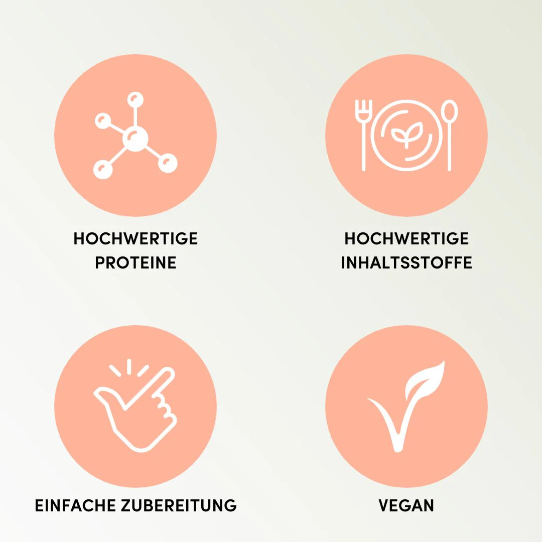 Bio High Protein Meals | 6er Pack - Image 3